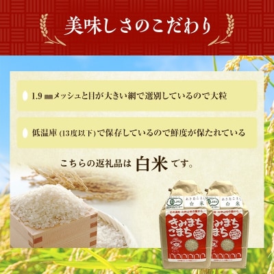 【白米】JAS有機米 きみまちこまち 4kg[No.5335-0296]
