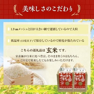 《定期便6ヶ月》【玄米】JAS有機米 きみまちこまち 4kg[No.5335-0302]