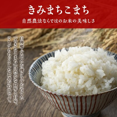 《定期便9ヶ月》【玄米】JAS有機米 きみまちこまち 4kg[No.5335-0303]
