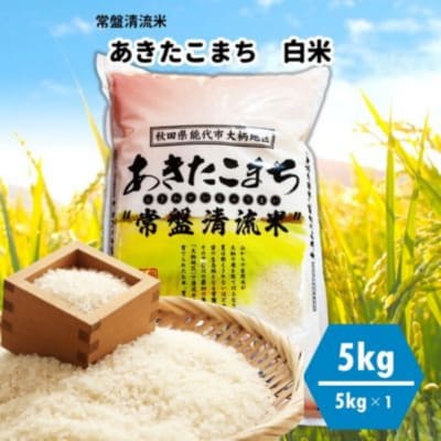 【白米】秋田県産 あきたこまち 5kg 常盤清流米[No.5335-0051]