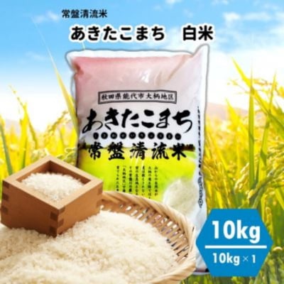 【白米】秋田県産 あきたこまち 10kg 常盤清流米[No.5335-0052]
