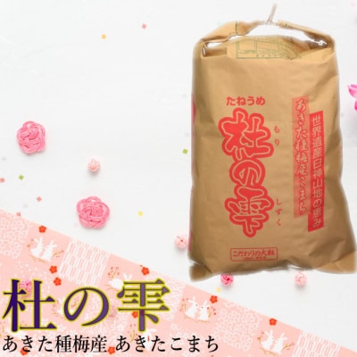 【令和4年産】あきた種梅産こまち 杜の雫『こだわりの大粒』 あきたこまち 精米 26kg