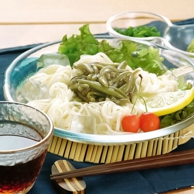 能代うどん 乾麺 140g×10束 新能代うどん ”しらかみ美人”[No.5335-0164]