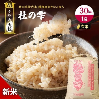 令和7年産 玄米 あきたこまち 杜の雫 30kg 1袋 こだわりの大粒[No.5335-0208]