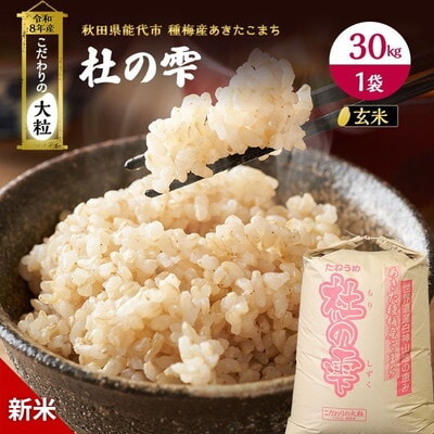 先行予約 新米 令和8年 あきたこまち 30kg 玄米 [No.5335-0208]