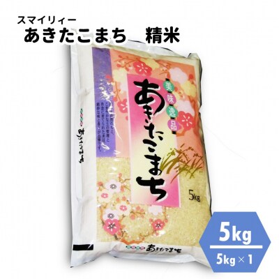 【令和4年産】あきたこまち 精米 5kg 秋田県 能代市産