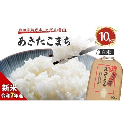 【白米】秋田県産 あきたこまち 10kg アグリ檜山[No.5335-0040]