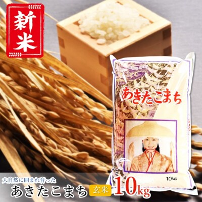 【令和4年産新米】うまい!! 本場のあきたこまち 玄米 10kg