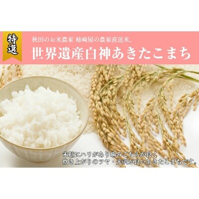 【白米】秋田県産 あきたこまち 10kg[No.5335-0047]