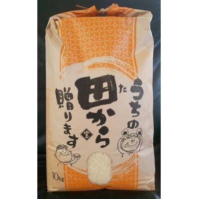 【白米】秋田県産 あきたこまち 10kg[No.5335-0047]