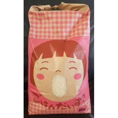【白米】秋田県産 ミルキープリンセス 10kg[No.5335-0046]