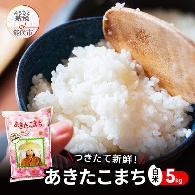 白米 つきたて新鮮!秋田県産 あきたこまち 5kg[No.5335-0181]