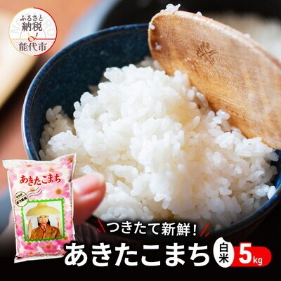 白米 つきたて新鮮!秋田県産 あきたこまち 5kg[No.5335-0181]