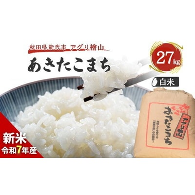 【白米】秋田県産 あきたこまち 30kg アグリ檜山[No.5335-0043]