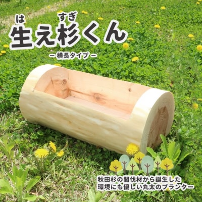 秋田杉の丸太プランター「生え杉くん(はえすぎくん)」横長タイプ[No.5335-0257]