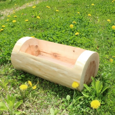 秋田杉の丸太プランター「生え杉くん(はえすぎくん)」横長タイプ[No.5335-0257]