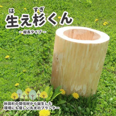秋田杉の丸太プランター「生え杉くん(はえすぎくん)」縦長タイプ[No.5335-0256]