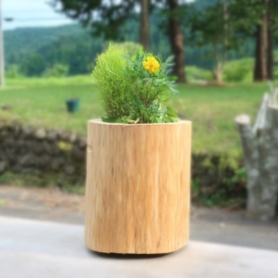 秋田杉の丸太プランター「生え杉くん(はえすぎくん)」縦長タイプ[No.5335-0256]