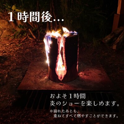 秋田杉のスウェーデントーチ「燃え杉くん(もえすぎくん)」[No.5335-0253]