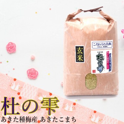 【令和4年産】あきた種梅産こまち 杜の雫『こだわりの大粒』 玄米 10kg×1袋
