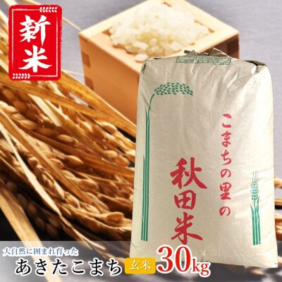 令和5年産】うまい!! 本場のあきたこまち 玄米 30kg[No.5335-0185