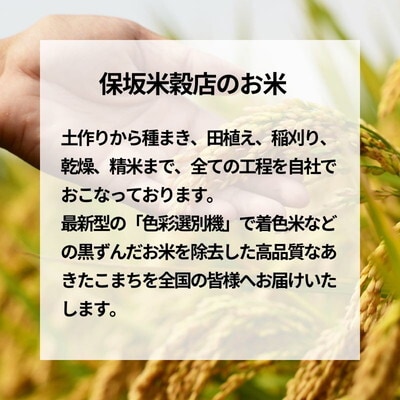 先行予約 新米 玄米 農家直送!秋田県産 あきたこまち 30kg[No.5335-0185]