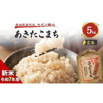 【玄米】秋田県産 あきたこまち 5kg アグリ檜山[No.5335-0035]