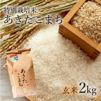 令和7年産 玄米 あきたこまち 2kg  特別栽培米[No.5335-0352]