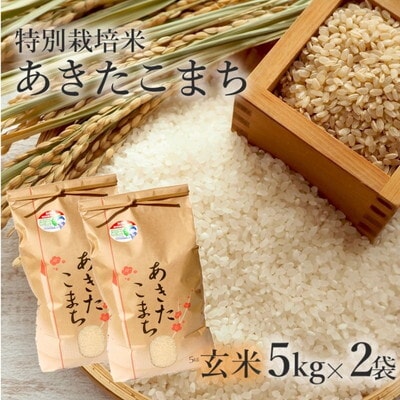 玄米 特別栽培米 あきたこまち 10kg (5kg×2袋) 秋田県産[No.5335-0355]
