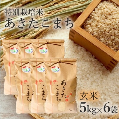 玄米 特別栽培米 あきたこまち 30kg (5kg×6袋) 秋田県産[No.5335-0357]