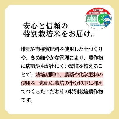 玄米 特別栽培米 あきたこまち 30kg (5kg×6袋) 秋田県産[No.5335-0357]