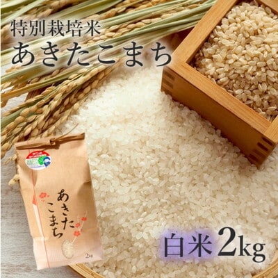令和7年産 白米 精米 あきたこまち 2kg  特別栽培米[No.5335-0358]