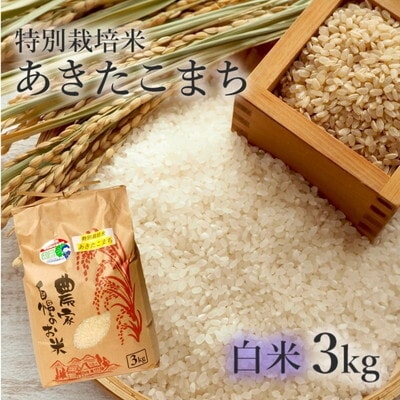 令和7年産 白米 精米 あきたこまち 3kg  特別栽培米[No.5335-0359]