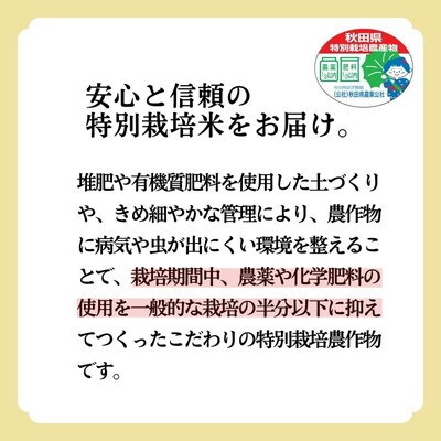 白米 特別栽培米 あきたこまち 5kg 秋田県産 米専[No.5335-0360]