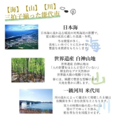 【玄米】ひとめぼれ 5kg 秋田県 能代市産[No.5335-0387]