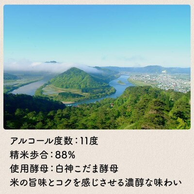 秋田県知事賞受賞!再仕込みどぶろく坂野泉 720ml×2本[No.5335-0573]