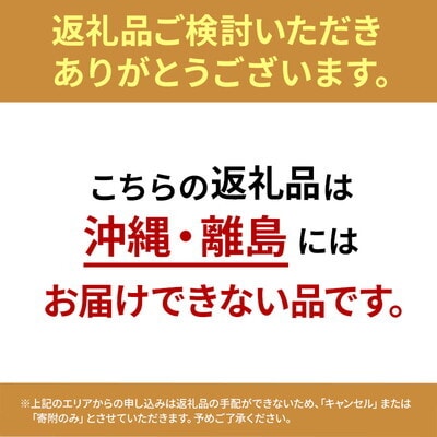【数量・期間限定】「かほり梨」 10kg 秋田県能代市産[No.5335-0661]