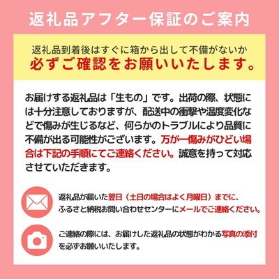 【数量・期間限定】「かほり梨」 10kg 秋田県能代市産[No.5335-0661]