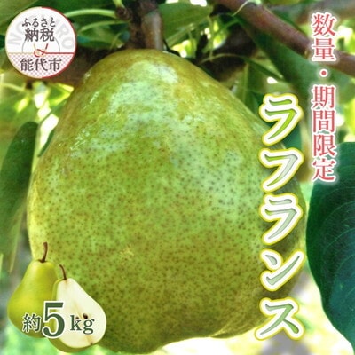 【数量・期間限定】洋梨の女王「ラフランス」 5kg [No.5335-0662]