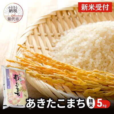 【先行受付】令和7年産 あきたこまち 精米 5kg[No.5335-0699]