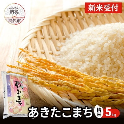 【先行受付】令和7年産 あきたこまち 精米 5kg[No.5335-0699]