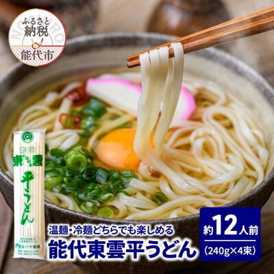 うどん 能代東雲平うどん 240g(約3人前)×4束 なべや製麺[No.5335-1361]