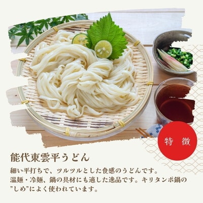 うどん 能代東雲平うどん 240g(約3人前)×4束 なべや製麺[No.5335-1361]