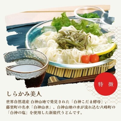 うどん しらかみ美人 140g(約2人前)×6束 なべや製麺[No.5335-1365]