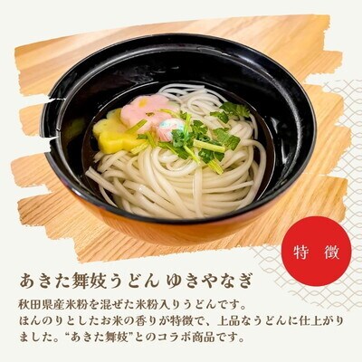 うどん あきた舞妓うどん ゆきやなぎ 100g×10束 なべや製麺[No.5335-1367]