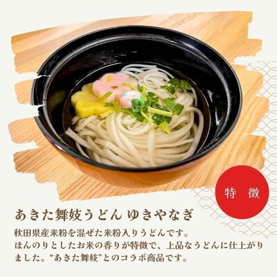 うどん あきた舞妓うどん ゆきやなぎ 100g×25束 なべや製麺[No.5335-1369]