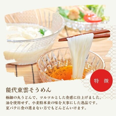 そうめん 能代東雲そうめん 240g(約3人前)×10束 なべや製麺[No.5335-1371]