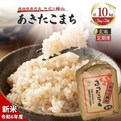 《定期便2ヶ月》【玄米】秋田県産 あきたこまち 5kg×2回 [No.5335-0589]