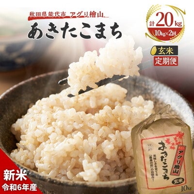 《定期便2ヶ月》【玄米】秋田県産 あきたこまち 10kg×2回 [No.5335-0601]