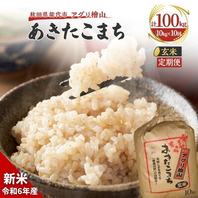  《定期便10ヶ月》【玄米】秋田県産 あきたこまち 10kg×10回 [No.5335-0609]